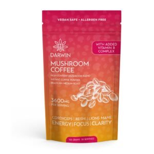 Darwin Mushroom Chocolate – Bundle Pack